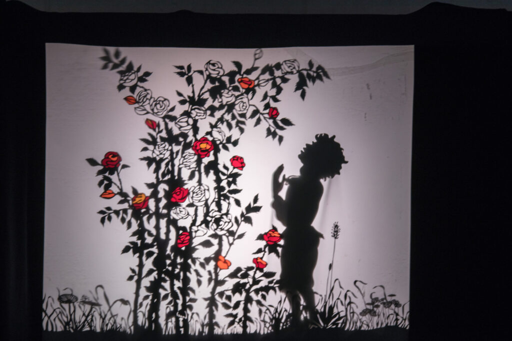 Licht- und Schattenspiel 